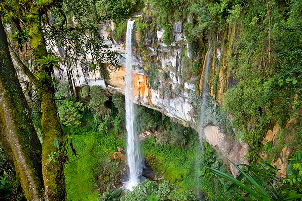 Cómo llegar a la Catarata Yumbilla, la maravilla natural de Amazonas, Perú