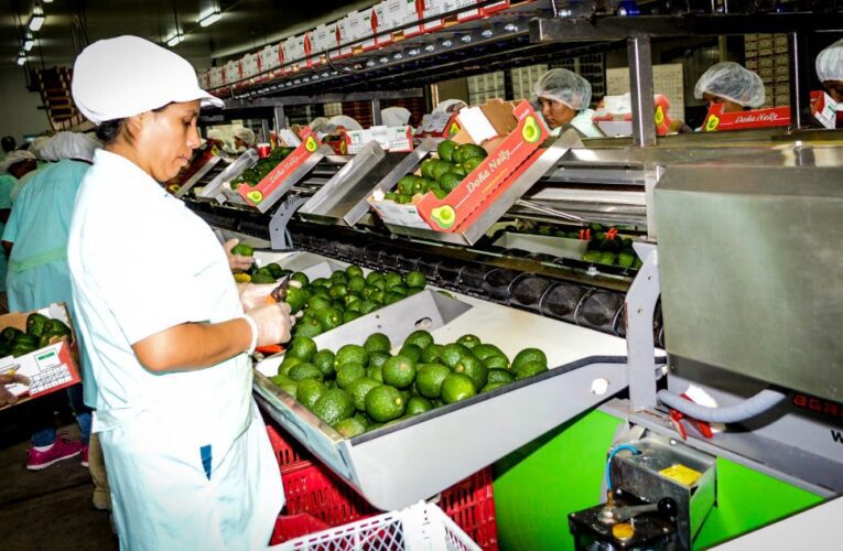 Agroexportaciones peruanas sumaron mas de US$ 2 mil millones