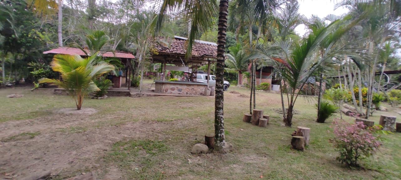 Una Aventura Inolvidable para Disfrutar de la Naturaleza en el Recreo Turístico Urito Wasi en Tarapoto - Perú