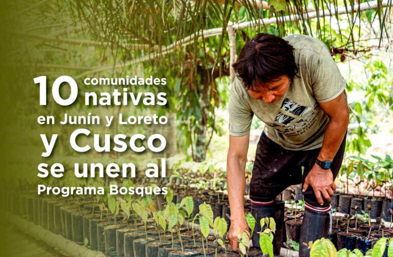 Incentivos económicos para conservación de bosques en Loreto