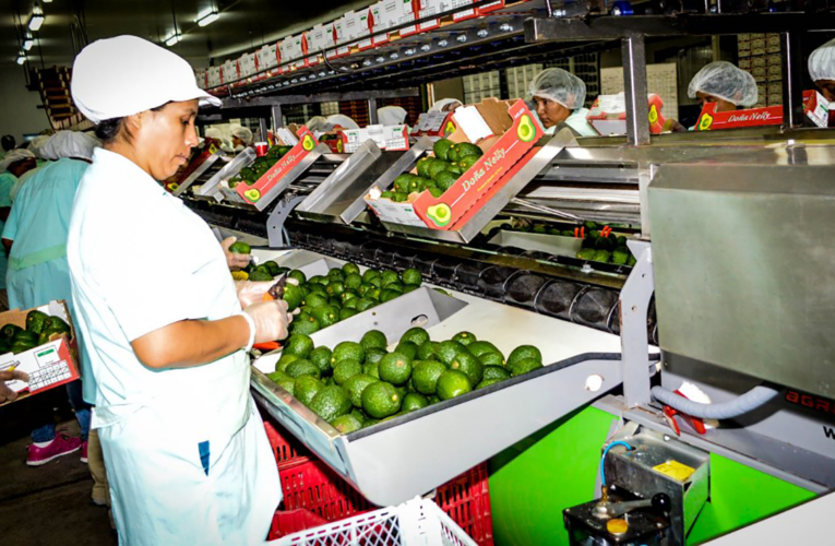 Agroexportaciones de Perú Alcanzan los US$ 3,928 Millones 