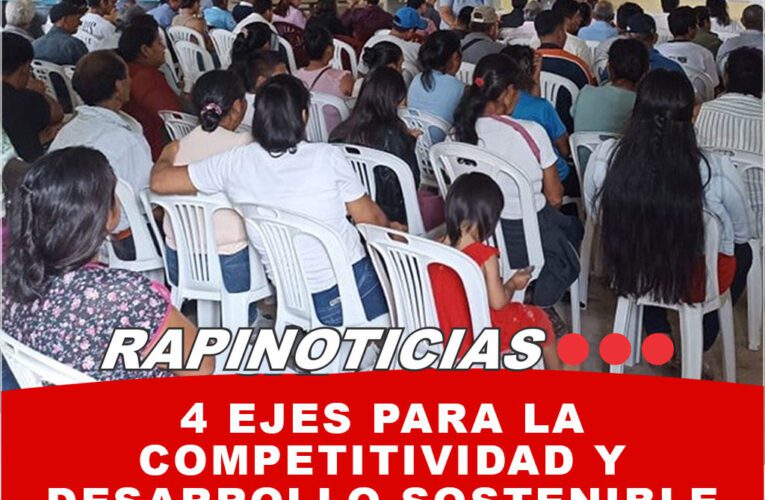 4 ejes para la competitividad y desarrollo sostenible del Perú