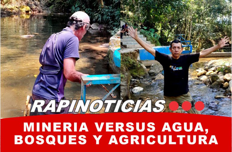 Minería versus agua, bosques y agricultura