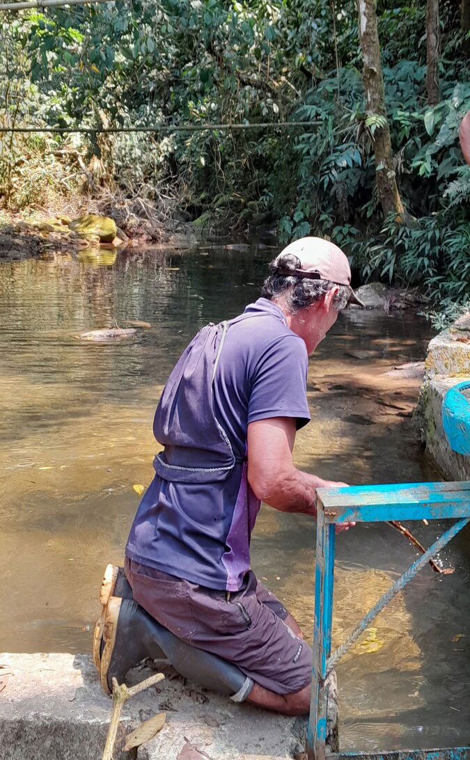 Minería versus agua, bosques