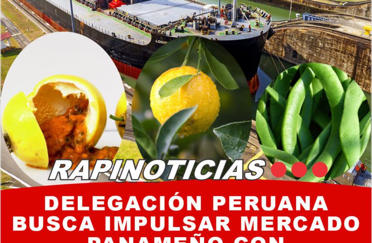 Delegación peruana busca impulsar mercado panameño con productos agroindustriales