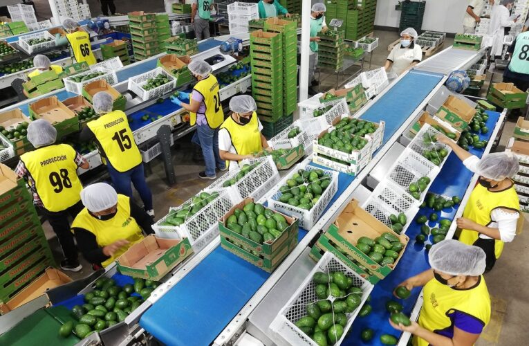 Oferta Agroexportable Peruana llegó a 135 Mercados