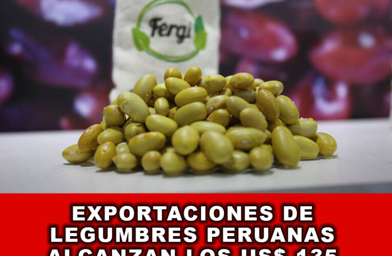 Exportaciones de Legumbres Peruanas Alcanzan los US$ 135 Millones en 2023: Ligera Caída del -2.5%.