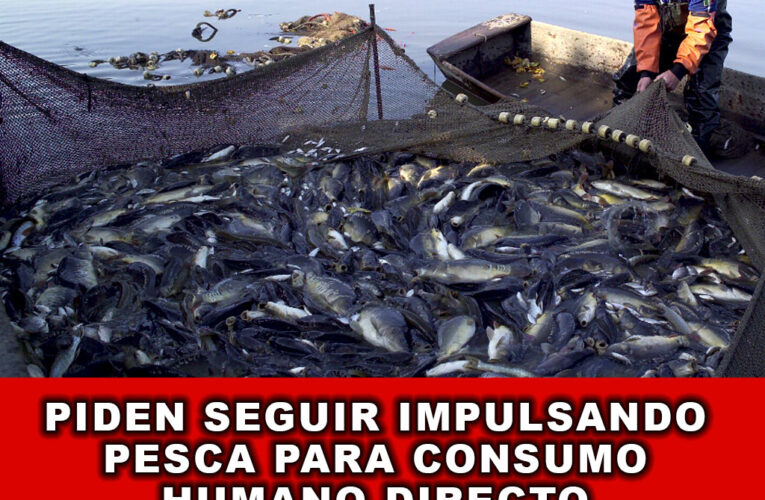 Piden seguir impulsando pesca para consumo humano directo