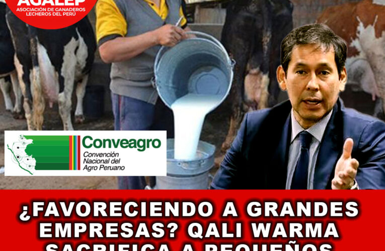 ¿Favoreciendo a Grandes Empresas? Qali Warma sacrifica a pequeños productores