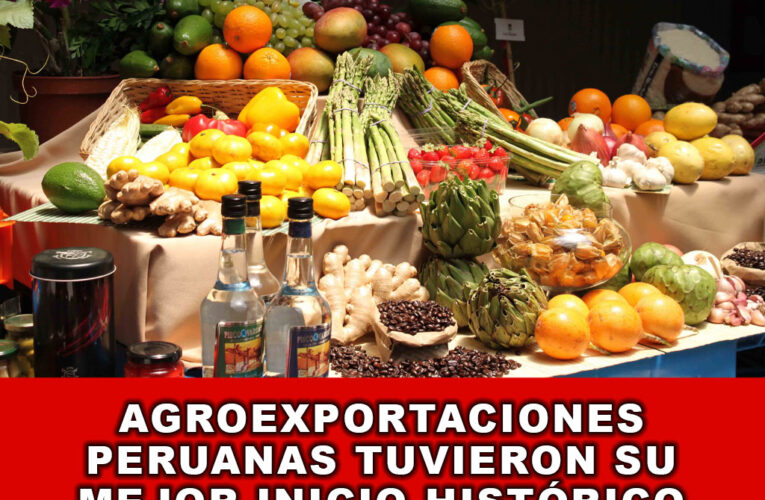 Agroexportaciones peruanas tuvieron su mejor inicio histórico