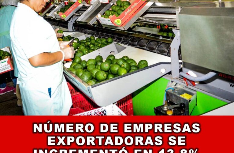 Número de empresas exportadoras se incrementó en 13.8% en enero