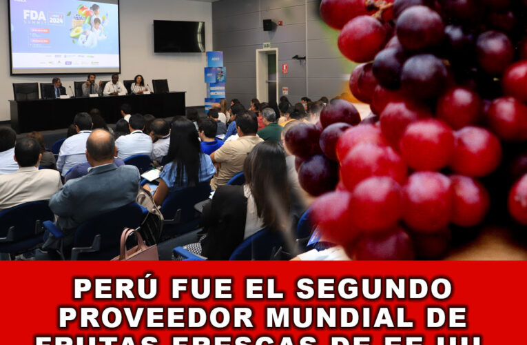 Perú fue el segundo proveedor mundial de frutas frescas de EE.UU. en el 2023