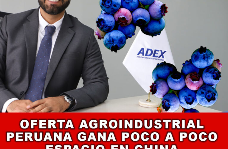 Oferta agroindustrial peruana gana poco a poco espacio en China