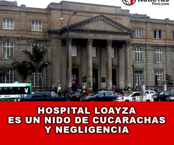 Hospital Loayza es un nido de cucarachas y negligencia 