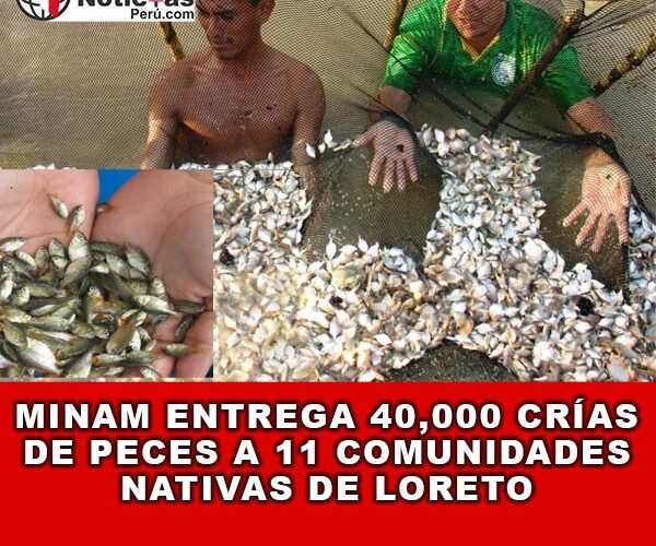 Minam entrega 40,000 crías de peces a 11 comunidades nativas de Loreto 