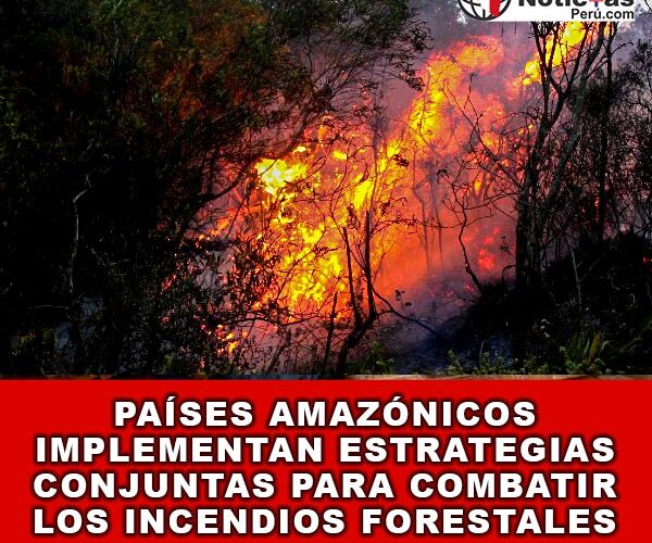 Países Amazónicos Implementan Estrategias Conjuntas para Combatir los Incendios Forestales