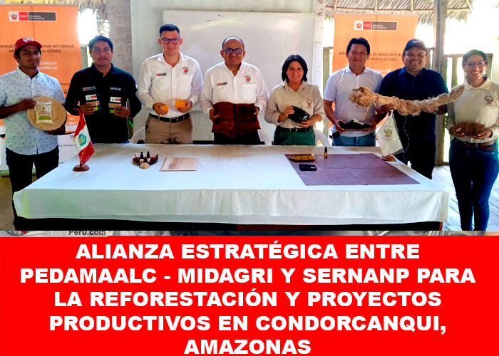 Alianza Estratégica entre PEDAMAALC – MIDAGRI y SERNANP para la Reforestación y Proyectos Productivos en Condorcanqui, Amazonas