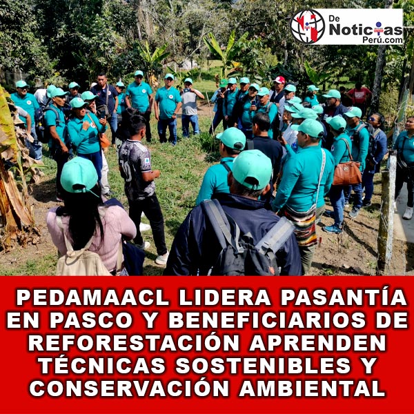  PEDAMAACL LIDERA PASANTÍA EN PASCO Y BENEFICIARIOS DE REFORESTACIÓN APRENDEN TÉCNICAS SOSTENIBLES Y CONSERVACIÓN AMBIENTAL