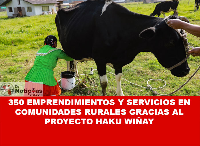 A pesar de las cifras prometedoras, muchos proyectos rurales en Cajamarca aún enfrentan desafíos económicos y estructurales, cuestionando la efectividad del apoyo gubernamental a largo plazo. Haku Wiñay - FONCODES les otorga capacitación y asistencia técnica