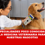 La medicina veterinaria engloba un abanico de especialidades, permitiendo que los profesionales de la salud animal se especialicen en áreas determinadas que impactan en la calidad de vida de nuestras mascotas.