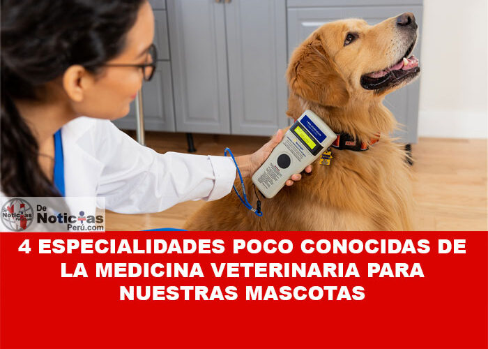 4 Especialidades poco conocidas de la Medicina Veterinaria para nuestras mascotas