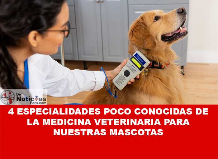 La medicina veterinaria engloba un abanico de especialidades, permitiendo que los profesionales de la salud animal se especialicen en áreas determinadas que impactan en la calidad de vida de nuestras mascotas.