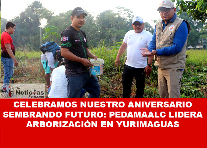 Celebramos Nuestro Aniversario Sembrando Futuro: PEDAMAALC Lidera Arborización en Yurimaguas