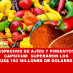  Entre enero y julio de este año, reportó ADEX, el gremio exportador organizará el I Encuentro Empresarial de Capsicum el próximo 22 de noviembre en la Universidad Nacional de Barranca.