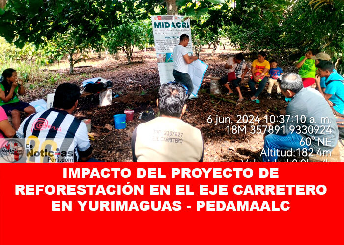 Impacto del Proyecto de Reforestación en el Eje Carretero en Yurimaguas – Pedamaalc