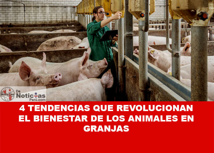 4 tendencias que revolucionan el bienestar de los animales en granjas