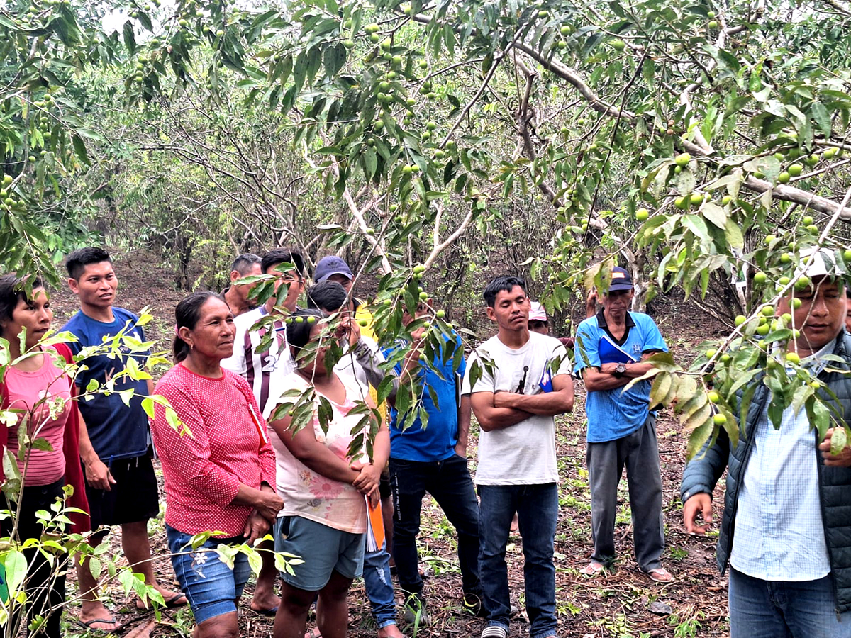 Ocho talleres especializados mejoran el manejo de plagas y la conservación de suelos, impulsando prácticas sostenibles en cuatro distritos clave.