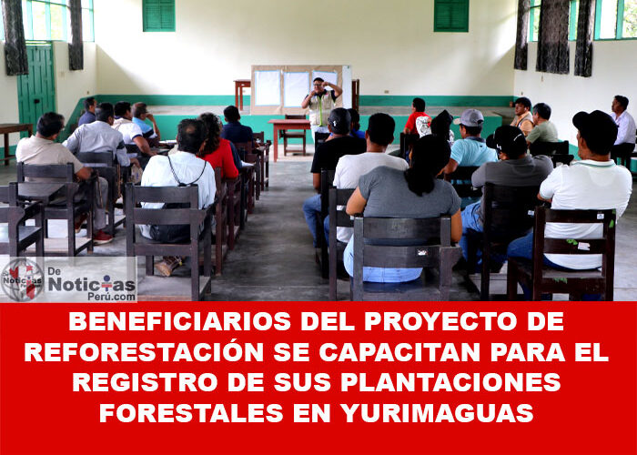 Beneficiarios del Proyecto de Reforestación se Capacitan para el Registro de sus Plantaciones Forestales en Yurimaguas