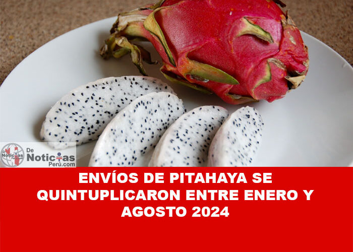 Envios de PITAHAYA se quintuplicaron entre enero y agosto 2024