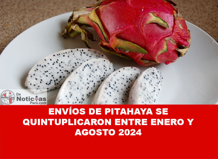 Países Bajos y España fueron sus principales compradores, la pitahaya se caracteriza por ser deliciosa, jugosa, fresca y con un alto contenido de vitamina C.