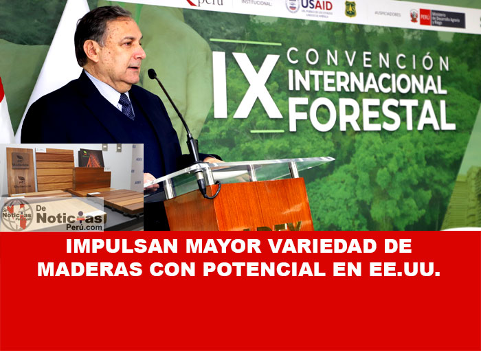 En la ‘IX Convención Internacional Forestal’ organizada por ADEX, Algunas son Aguano Masha, Capirona, Huayruro, Machimango Colorado, Mashonaste, Palisangre y Pumaquiro que, debido a sus características, podrían ser demandadas por el sector construcción.