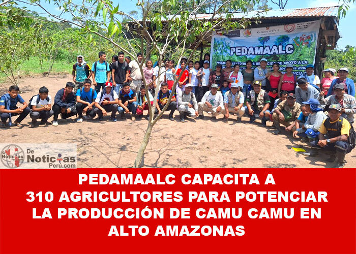 PEDAMAALC capacita a 310 agricultores para potenciar la producción de camu camu en Alto Amazonas