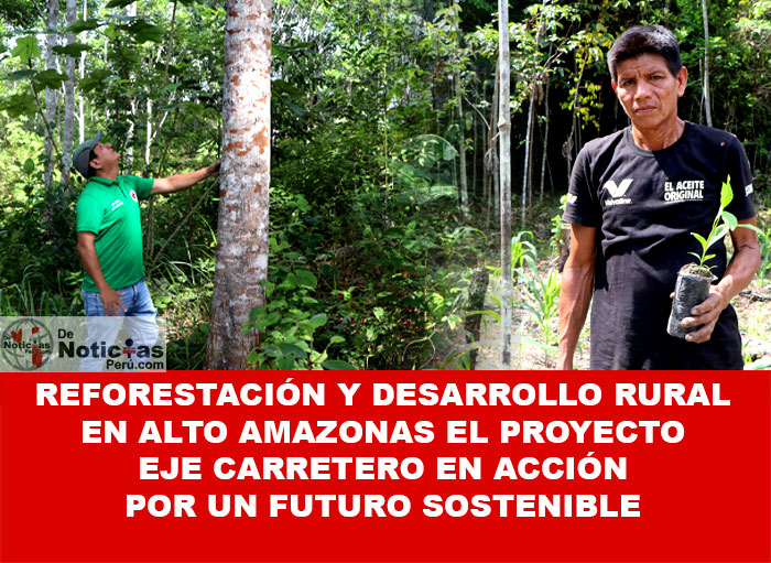 PEDAMAALC impulsa la reforestación y sistemas agroforestales en Yurimaguas, promoviendo la recuperación de ecosistemas y el desarrollo comunitario